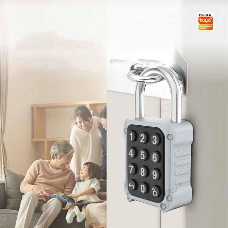 EGFirtor Tuya APP Elektronisch - Lockbox Key Secure recensie en prijs